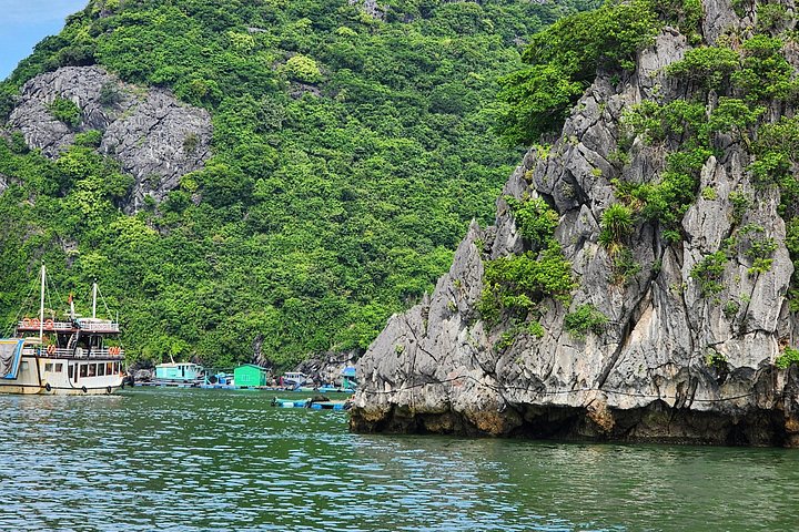 Full-day cruise exploring Ha Long Bay's caves, islands, and waters from Hanoi, photo 22 | wizardtrip