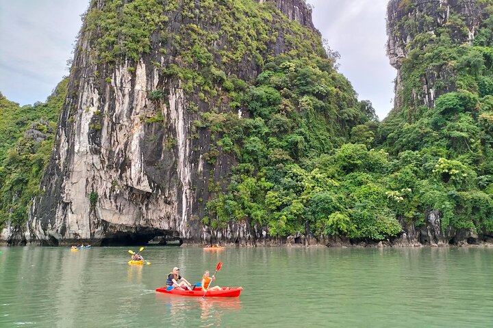 Full-day cruise exploring Ha Long Bay's caves, islands, and waters from Hanoi, photo 46 | wizardtrip