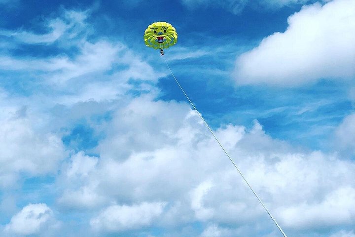 アリバのターコイズブルーの海の上をスリル満点のパラセーリングで、海岸線の素晴らしい空撮ビューをお楽しみください、写真10 | wizardtrip
