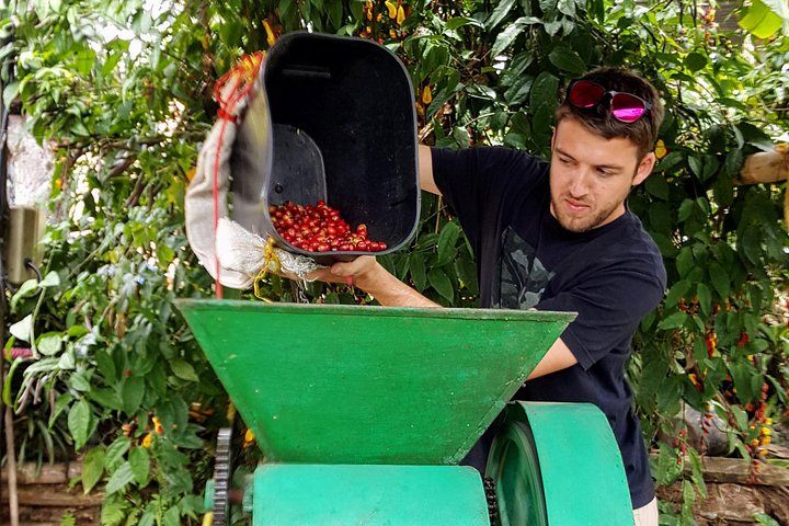 Une excursion d'une journée vibrante en Colombie avec dégustation de café, ascension du rocher de Guatapé et exploration d'une ville colorée, photo 6 | wizardtrip