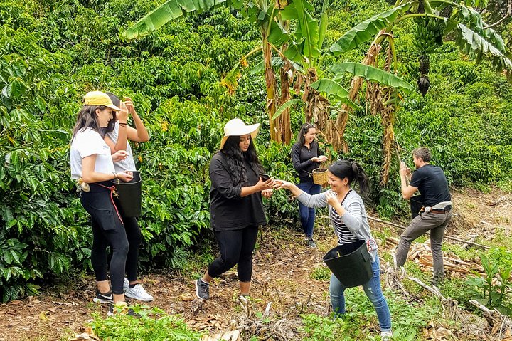 Une excursion d'une journée vibrante en Colombie avec dégustation de café, ascension du rocher de Guatapé et exploration d'une ville colorée, photo 8 | wizardtrip