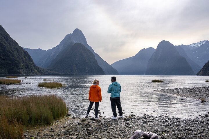 Excursión de día completo a Milford Sound desde Te Anau con crucero y caminatas | wizardtrip