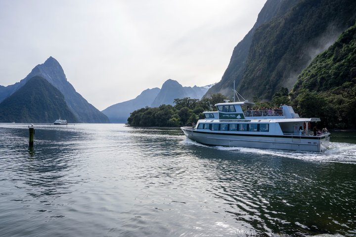 Tour de día completo a Milford Sound desde Te Anau con crucero y caminatas, foto 7 | wizardtrip