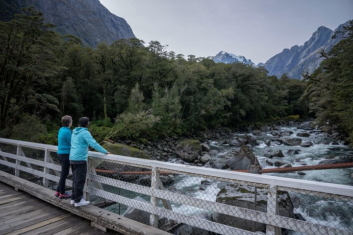 Tour de día completo a Milford Sound desde Te Anau con crucero y caminatas, foto 10 | wizardtrip
