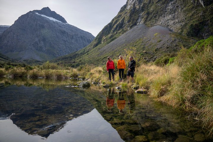 Tour de día completo a Milford Sound desde Te Anau con crucero y caminatas, foto 14 | wizardtrip