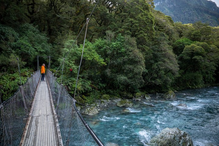 Tour de día completo a Milford Sound desde Te Anau con crucero y caminatas, foto 15 | wizardtrip
