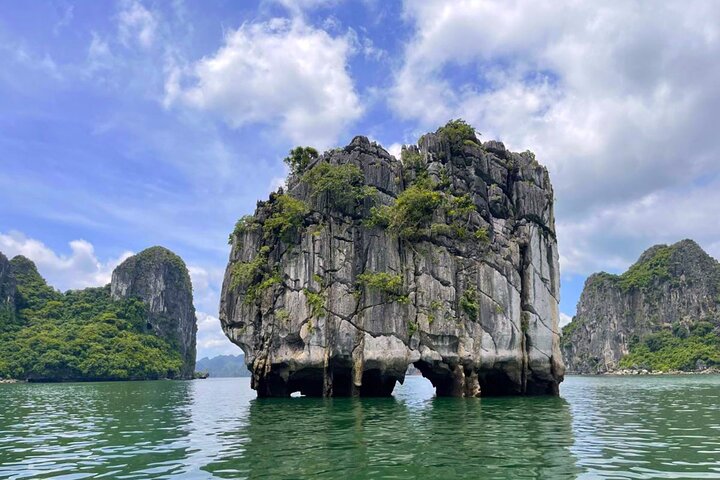 Luxury Halong Bay day cruise with limestone karsts, buffet lunch, and onboard relaxation, photo 31 | wizardtrip