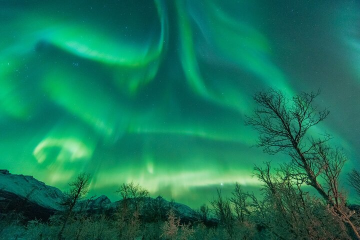 Experimente a magia da Aurora Boreal numa aventura a partir de Tromso, Noruega, foto 12 | wizardtrip