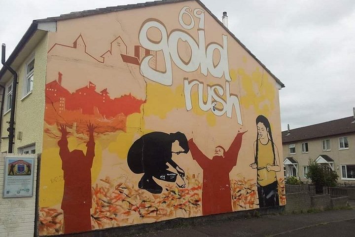 Explorez les murales et les Murs de la Paix de Belfast lors d'une visite privée en taxi avec un guide local, photo 164 | wizardtrip