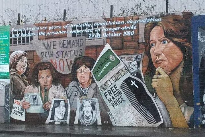 Explorez les murales et les Murs de la Paix de Belfast lors d'une visite privée en taxi avec un guide local, photo 175 | wizardtrip