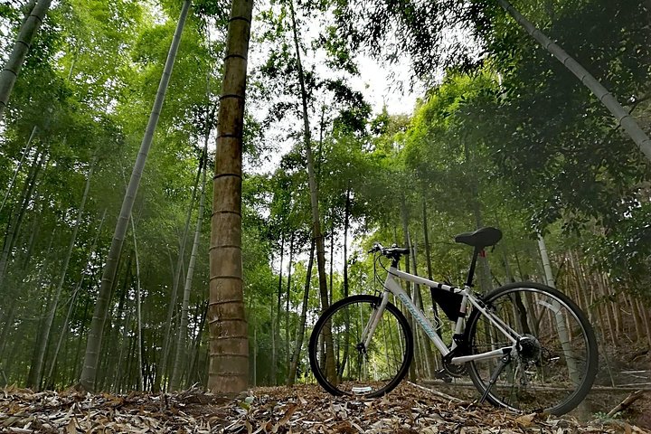 Passeio de bicicleta matinal pela Floresta de Bambu de Arashiyama e ruas secundárias cénicas de Quioto, foto 21 | wizardtrip