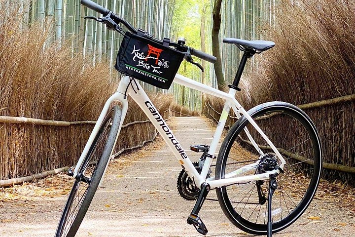 Een begeleide fietstocht door Kyotos iconische bamboebos, schrijnen en tempels, foto 11 | wizardtrip
