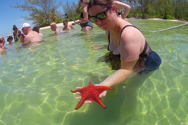 Explorez Stingray City, Starfish Point et Coral Gardens lors d'une visite guidée de la vie marine des îles Caïmans, photo 18 | wizardtrip