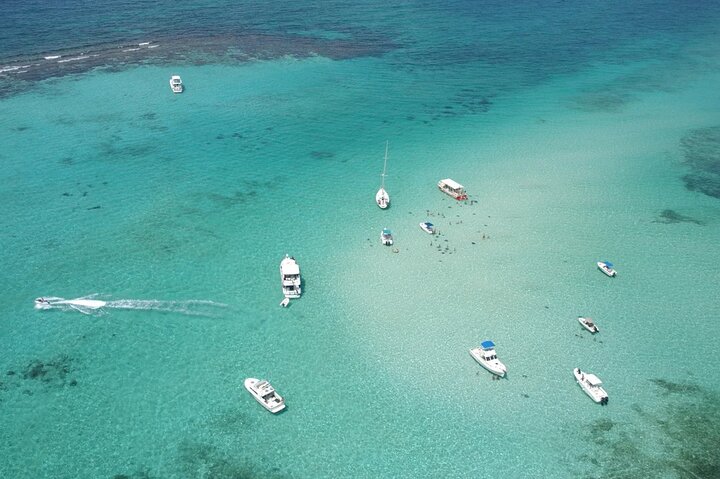 Explorez Stingray City, Starfish Point et Coral Gardens lors d'une visite guidée de la vie marine des îles Caïmans, photo 21 | wizardtrip