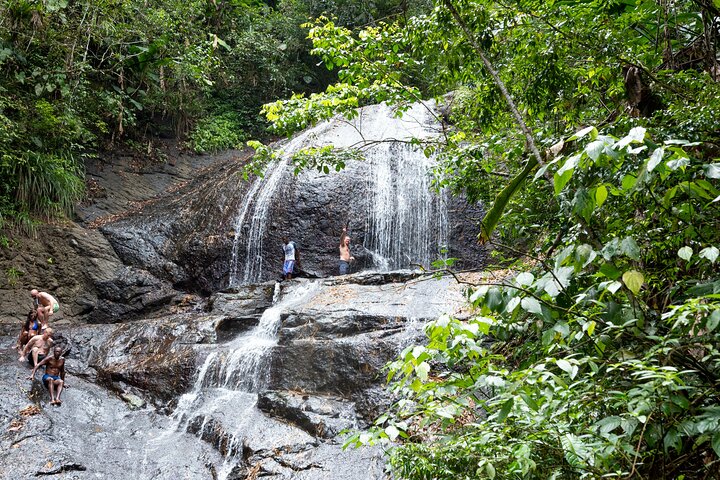 Rainforest Hike en Waterval Safari | wizardtrip