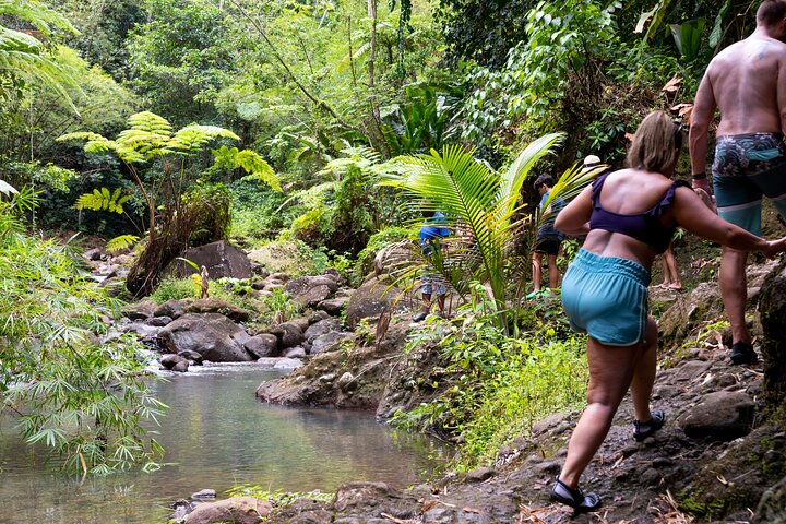 Explore Saint Lucia's rainforests and waterfalls on a 4x4 safari, including fruit tasting and community visits, photo 2 | wizardtrip