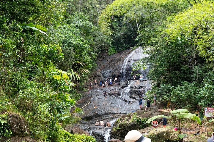 Explore Saint Lucia's rainforests and waterfalls on a 4x4 safari, including fruit tasting and community visits, photo 3 | wizardtrip