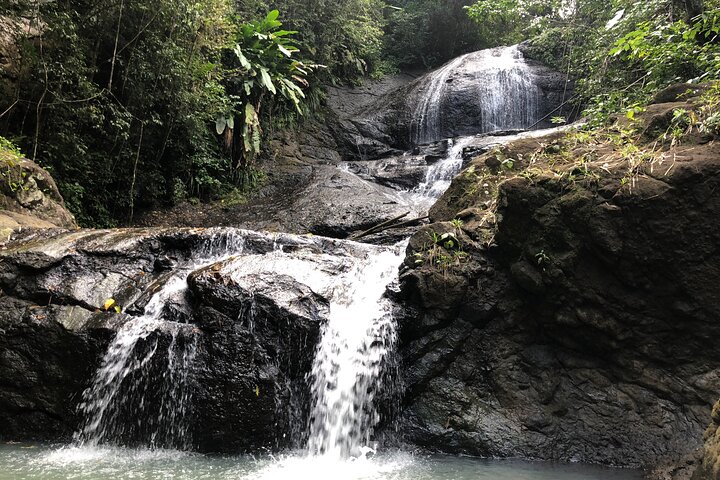 Explore Saint Lucia's rainforests and waterfalls on a 4x4 safari, including fruit tasting and community visits, photo 4 | wizardtrip