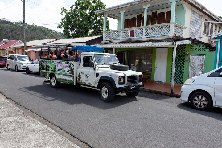 Explore Saint Lucia's rainforests and waterfalls on a 4x4 safari, including fruit tasting and community visits, photo 7 | wizardtrip