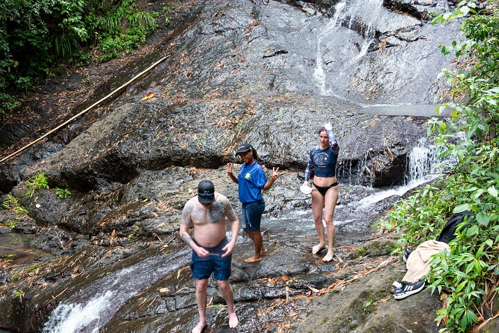Explore Saint Lucia's rainforests and waterfalls on a 4x4 safari, including fruit tasting and community visits, photo 9 | wizardtrip