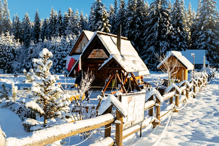 Dagstur til Zakopane fra Krakow, med fjell, kabelbaner, termalbad og lokal mat, foto 11 | wizardtrip