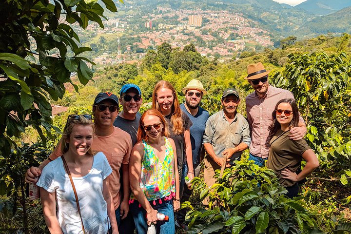 Explorez une ferme et une torréfaction de café colombien près de Medellín, découvrez le processus du grain à la tasse et dégustez, photo 6 | wizardtrip