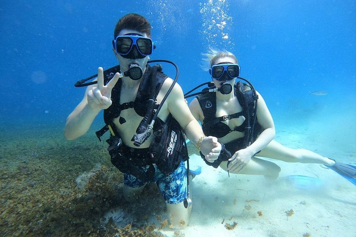 コスメルのチャンカナブ公園での体験ダイビングで、水中生物や洞窟を探検します、写真6 | wizardtrip