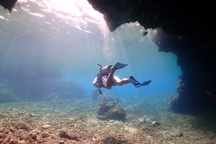 コスメルのチャンカナブ公園での体験ダイビングで、水中生物や洞窟を探検します、写真14 | wizardtrip