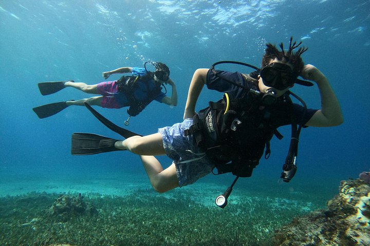 コスメルのチャンカナブ公園での体験ダイビングで、水中生物や洞窟を探検します、写真21 | wizardtrip