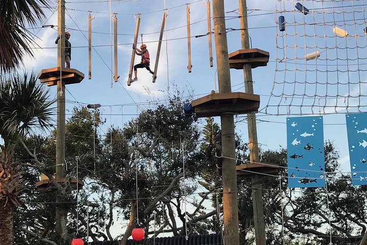 Experimenta emocionantes tirolinas y desafíos aéreos en un hermoso dosel de robles en Cocoa Beach Aerial Adventures, foto 9 | wizardtrip