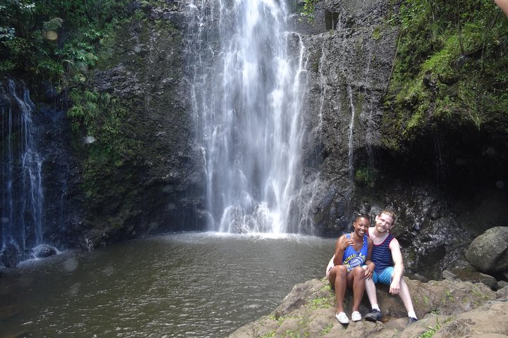 Viagem cénica pela Road to Hana de Maui com cachoeiras, praias e paisagens exuberantes, foto 8 | wizardtrip