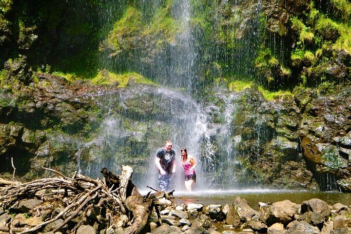 Viagem cénica pela Road to Hana de Maui com cachoeiras, praias e paisagens exuberantes, foto 11 | wizardtrip