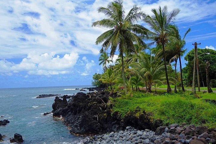 Viagem cénica pela Road to Hana de Maui com cachoeiras, praias e paisagens exuberantes, foto 12 | wizardtrip