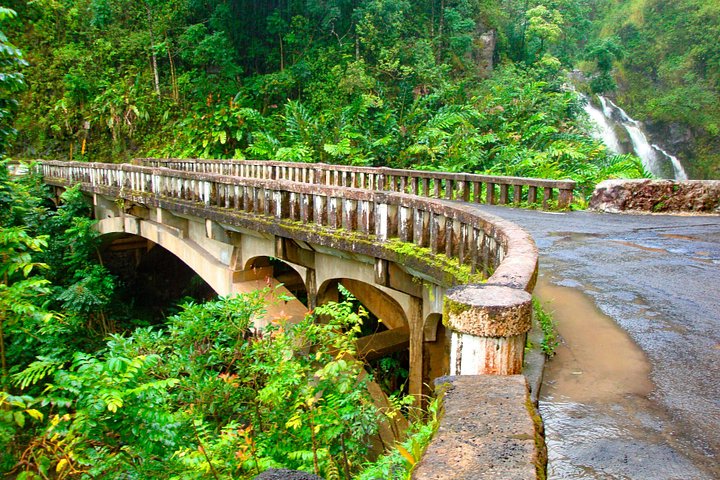 Viagem cénica pela Road to Hana de Maui com cachoeiras, praias e paisagens exuberantes, foto 13 | wizardtrip