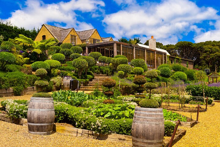 PREMIUM WEINprobe = Waiheke Island Wein Touren MAX 11 Kunden! | wizardtrip