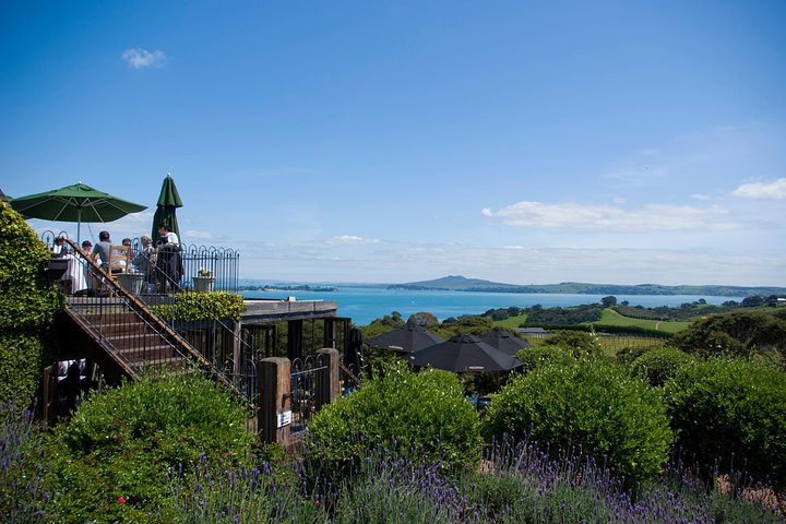 Vinprovningstur på Waiheke Island med vingårdsbesök och provningar för små grupper, foto 6 | wizardtrip