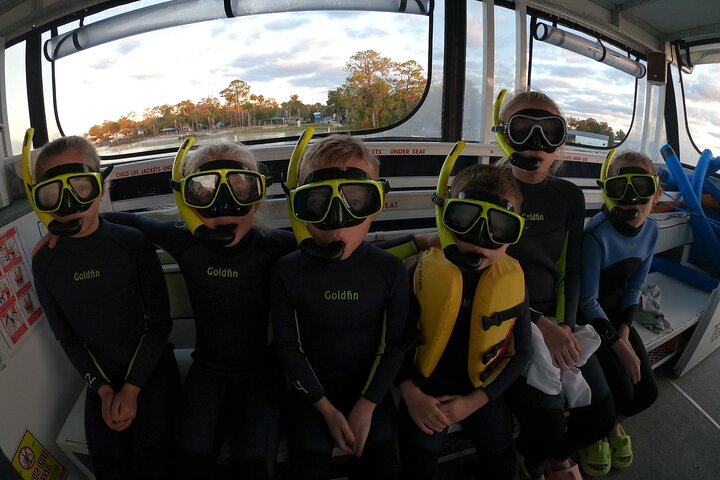 Manatee swim tour in Crystal River, Florida, with guided snorkeling and boat ride, photo 10 | wizardtrip