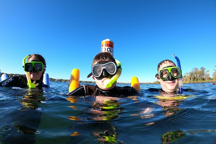 Manatee swim tour in Crystal River, Florida, with guided snorkeling and boat ride, photo 13 | wizardtrip