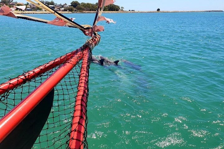 Um cruzeiro de navio pirata nos canais de Mandurah, oferecendo vistas panorâmicas e oportunidades de avistar golfinhos, foto 7 | wizardtrip