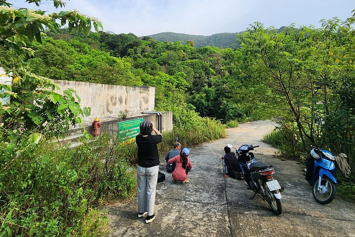 Se utrydningstruede Red-Shanked Douc Langurs i deres naturlige habitat på Son Tra-halvøya, Da Nang, foto 6 | wizardtrip