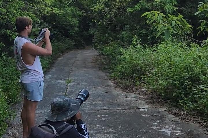 Se utrydningstruede Red-Shanked Douc Langurs i deres naturlige habitat på Son Tra-halvøya, Da Nang, foto 15 | wizardtrip