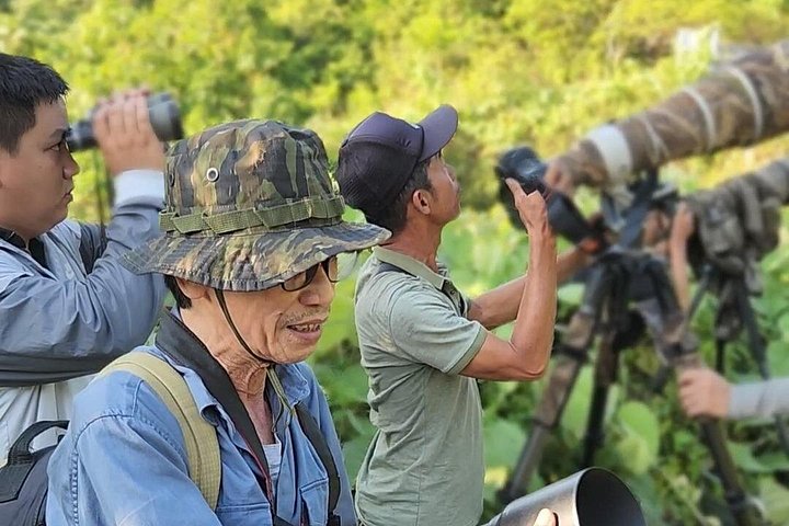 Se utrydningstruede Red-Shanked Douc Langurs i deres naturlige habitat på Son Tra-halvøya, Da Nang, foto 17 | wizardtrip