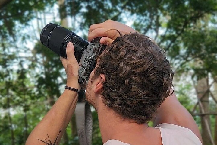 Se utrydningstruede Red-Shanked Douc Langurs i deres naturlige habitat på Son Tra-halvøya, Da Nang, foto 18 | wizardtrip