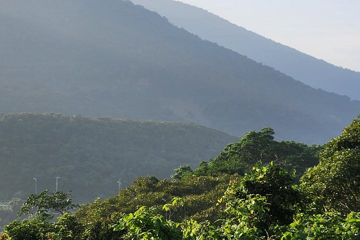Se utrydningstruede Red-Shanked Douc Langurs i deres naturlige habitat på Son Tra-halvøya, Da Nang, foto 24 | wizardtrip
