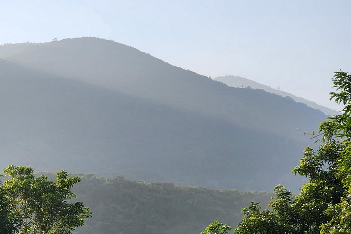 Se utrydningstruede Red-Shanked Douc Langurs i deres naturlige habitat på Son Tra-halvøya, Da Nang, foto 25 | wizardtrip