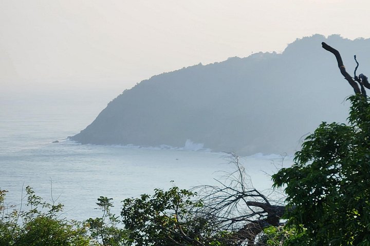 Se utrydningstruede Red-Shanked Douc Langurs i deres naturlige habitat på Son Tra-halvøya, Da Nang, foto 26 | wizardtrip