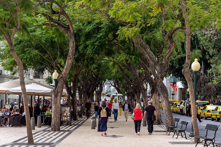 Vandretur gjennom historiske Funchal, Portugal, med besøk til markeder og landemerker, foto 13 | wizardtrip