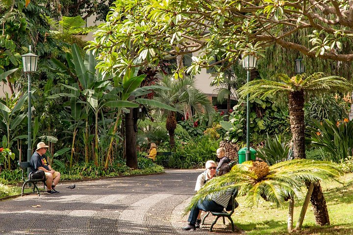 Vandretur gjennom historiske Funchal, Portugal, med besøk til markeder og landemerker, foto 22 | wizardtrip