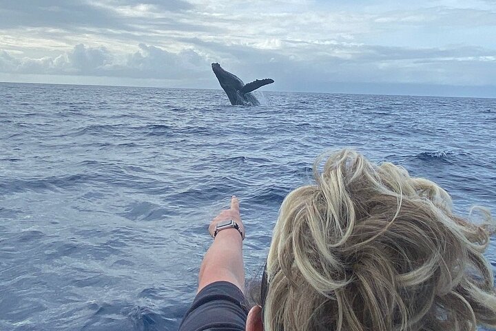 Eco-raft tour op Maui met walvis- en dolfijnspotting op ooghoogte, foto 7 | wizardtrip
