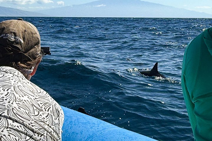 Eco-raft tour op Maui met walvis- en dolfijnspotting op ooghoogte, foto 25 | wizardtrip